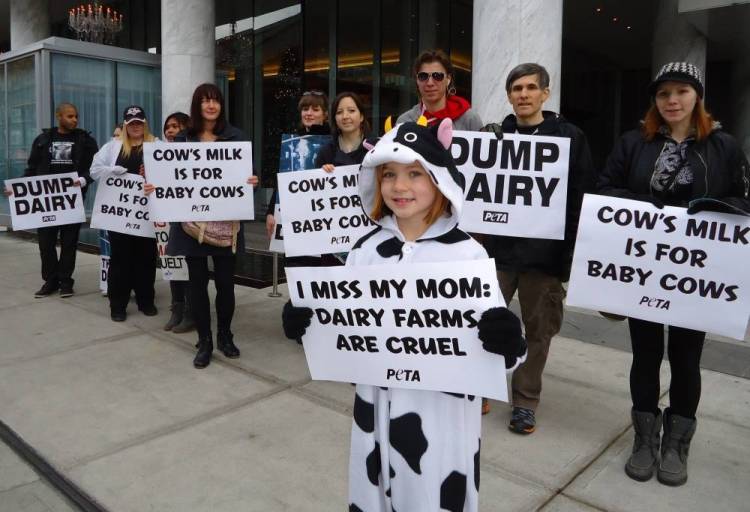 PeTA demonstrators protesting the B.C. Dairy Industry Conference in Vancouver, Canada. Photo credit: straight.com