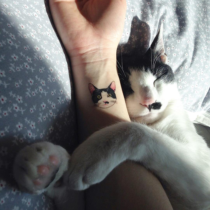 While tattooing is illegal and seen as taboo in South Korea, some young Koreans are choosing cat tattoos as a fun way to rebel (and honor their feline companions at the same time). Photo credit: boredpanda.com